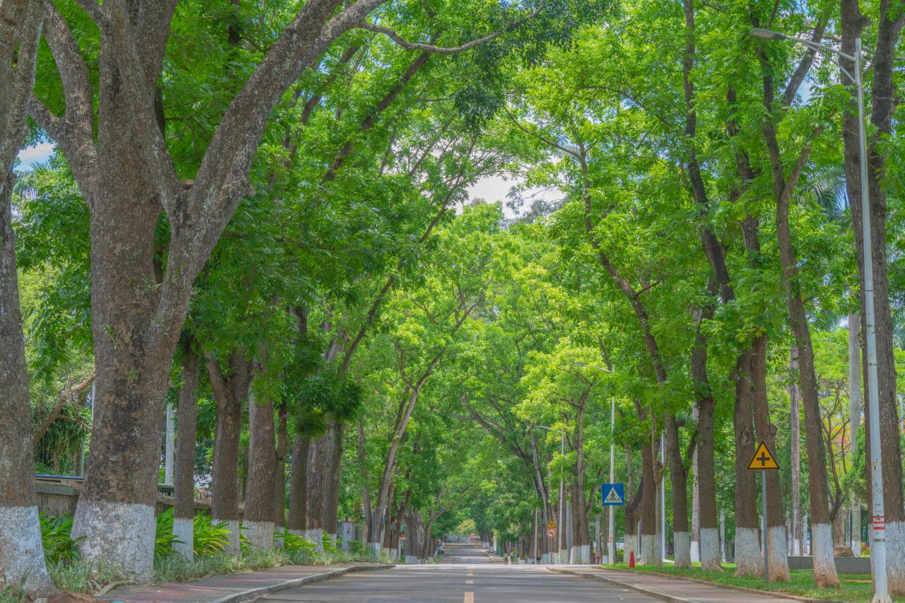 PA视讯官方网站