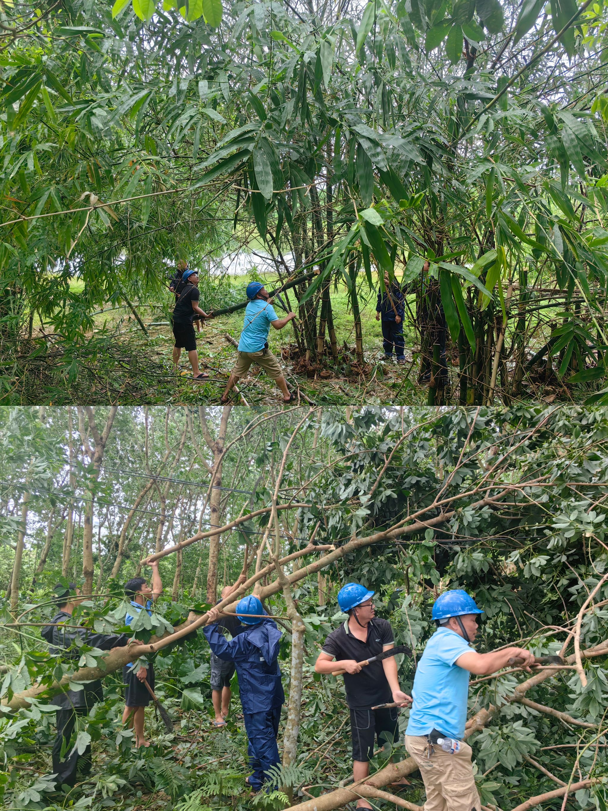 PA视讯官方网站